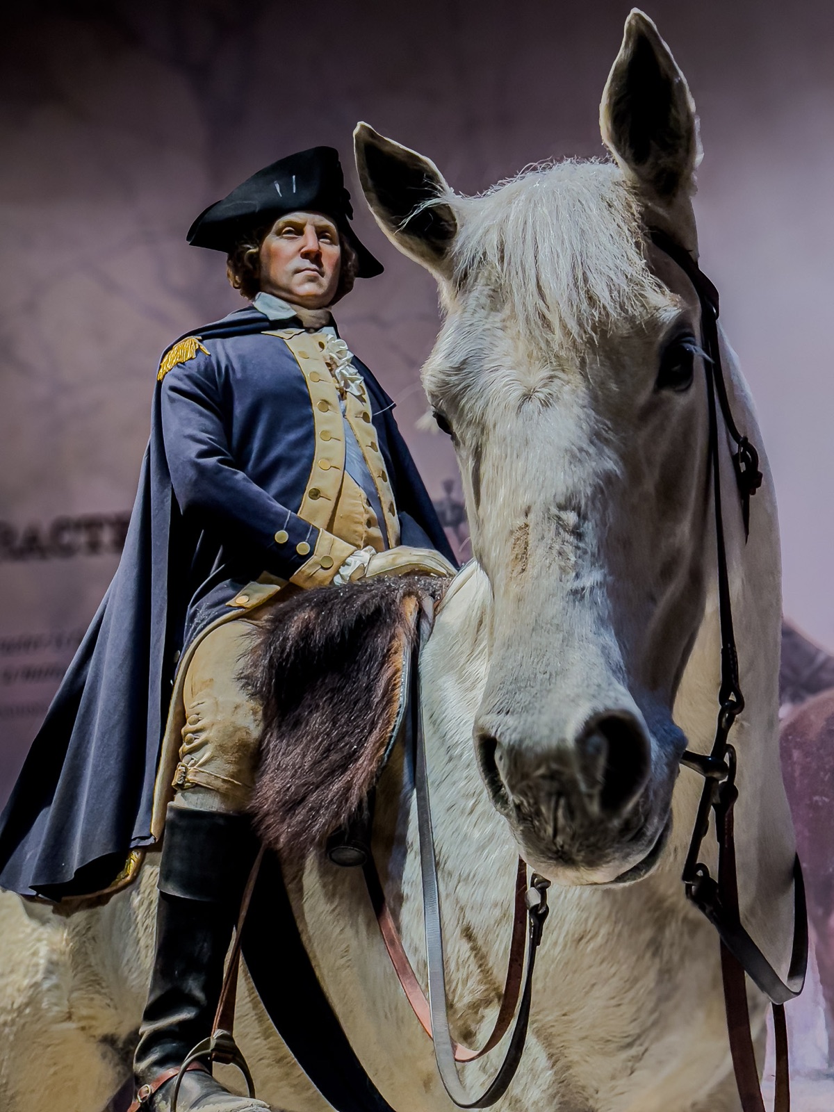 Statue of a horse and rider at George Washington memorial