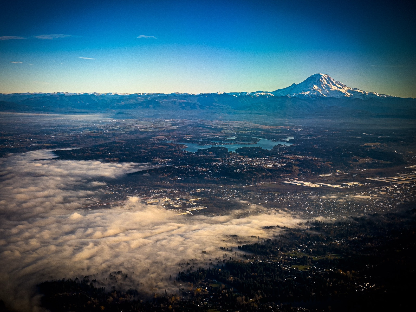Wide landscape view of Mount Rainier above the tree line