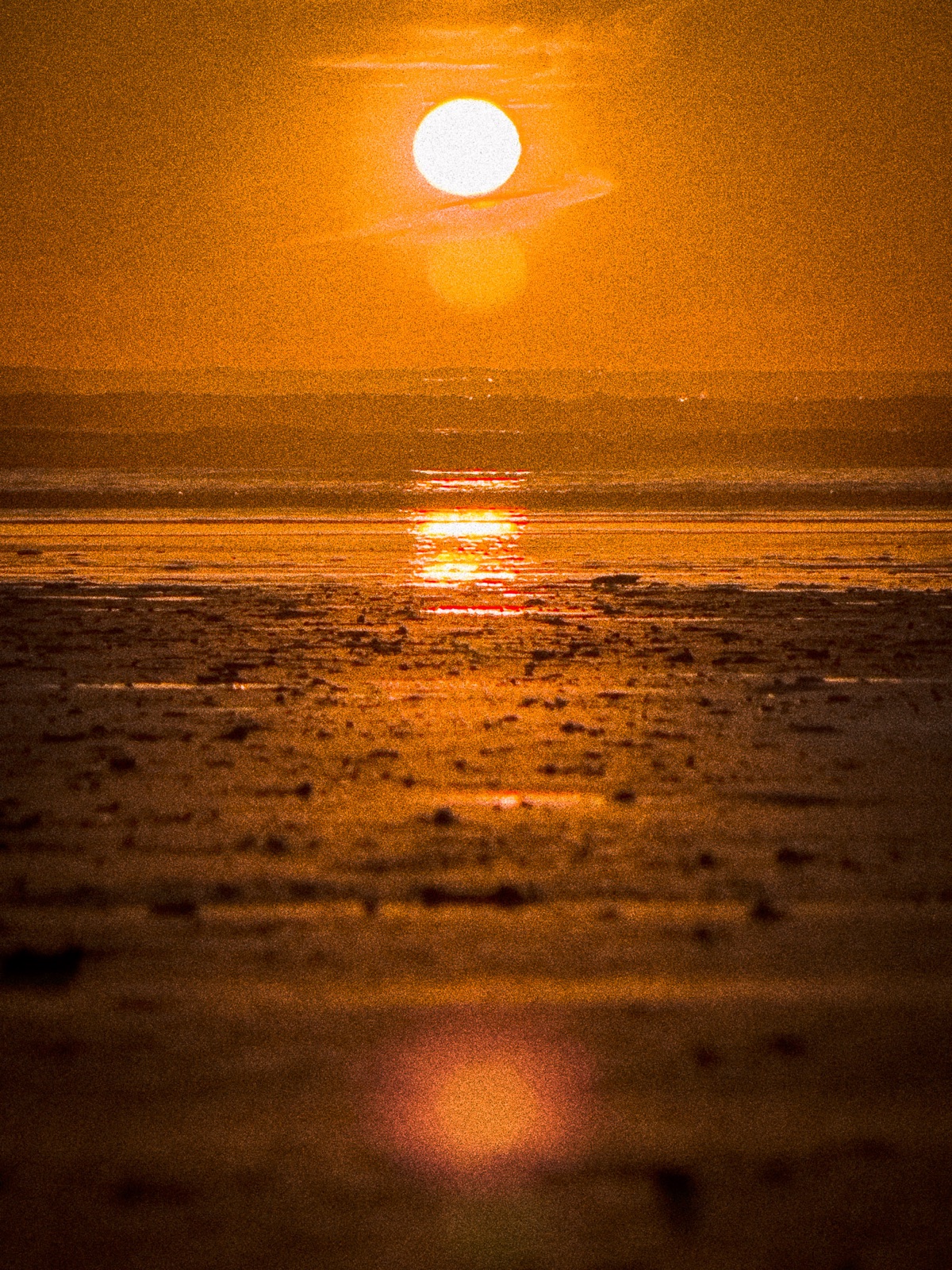 Rippled desert sand dunes lit by a golden sunset